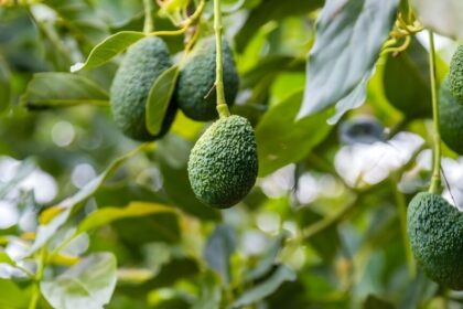 diseno sin titulo 2 1024x576