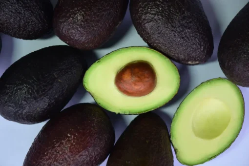 Michoacán, principal productor de aguacate en México con un millón 460 mil toneladas de cosechadas en 2025-26 asi puedes elegir el mejor aguacate segun expertos 1 e08daf1b focus 0 0 1200 600